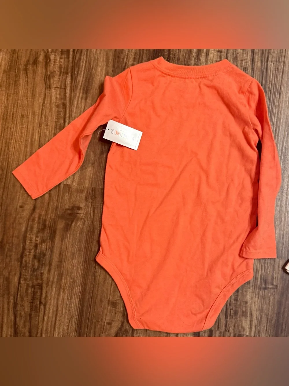 24 Months Baby Boy Long Sleeve Body Suit Garanimals Carter’s Winter Fall